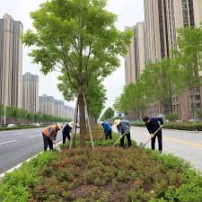 今年会官方网站 富阳市政绿化属于什么行业类别